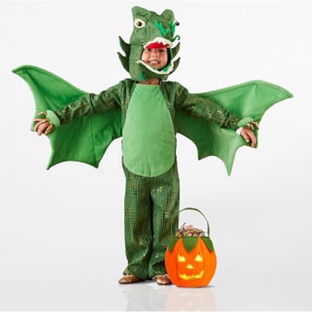 Pottery barn kids green dragon costume 3T